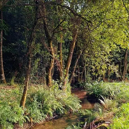 Сasa de vacaciones Eido Da Consaca Ponteareas