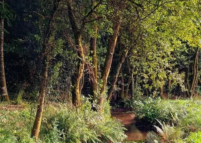 Semesterbostad Eido Da Consaca Ponteareas