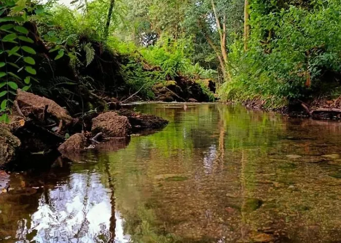 Eido Da Consaca * Ponteareas