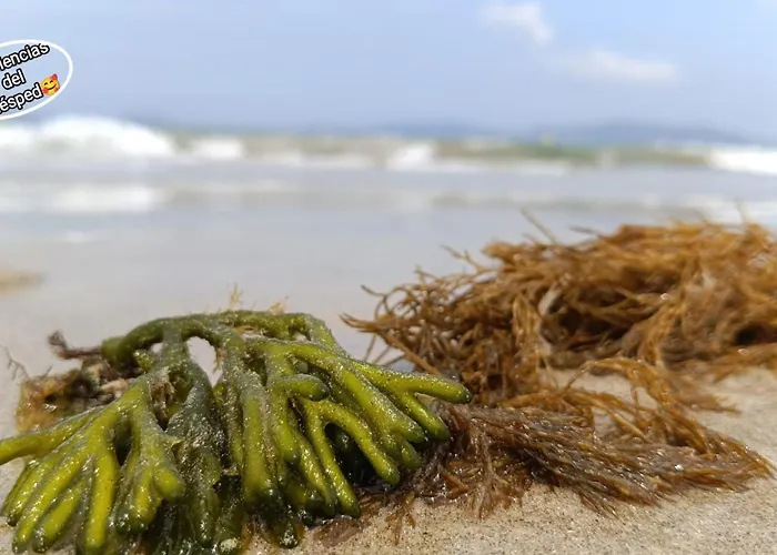 Semesterbostad Eido Da Consaca